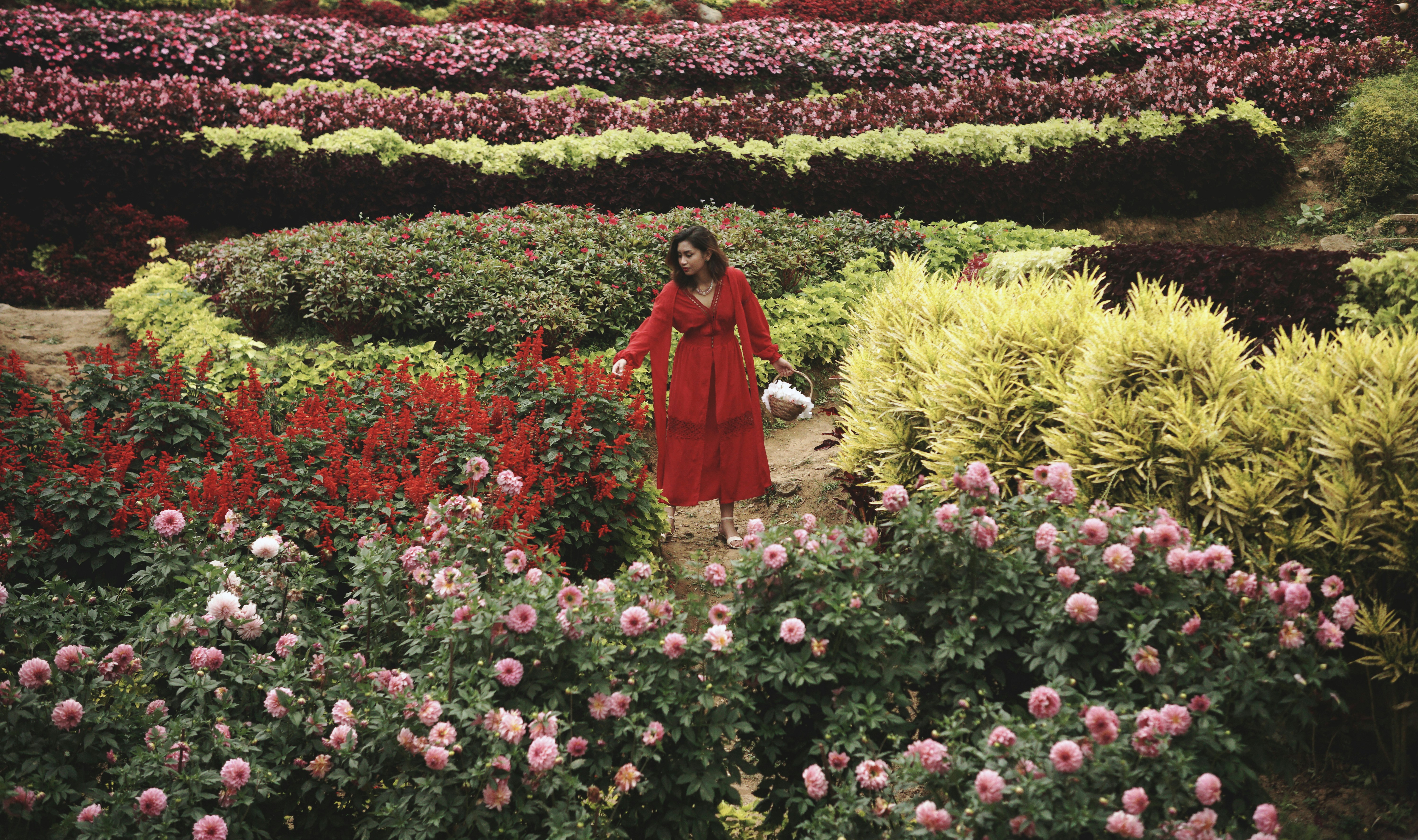 Persian Garden