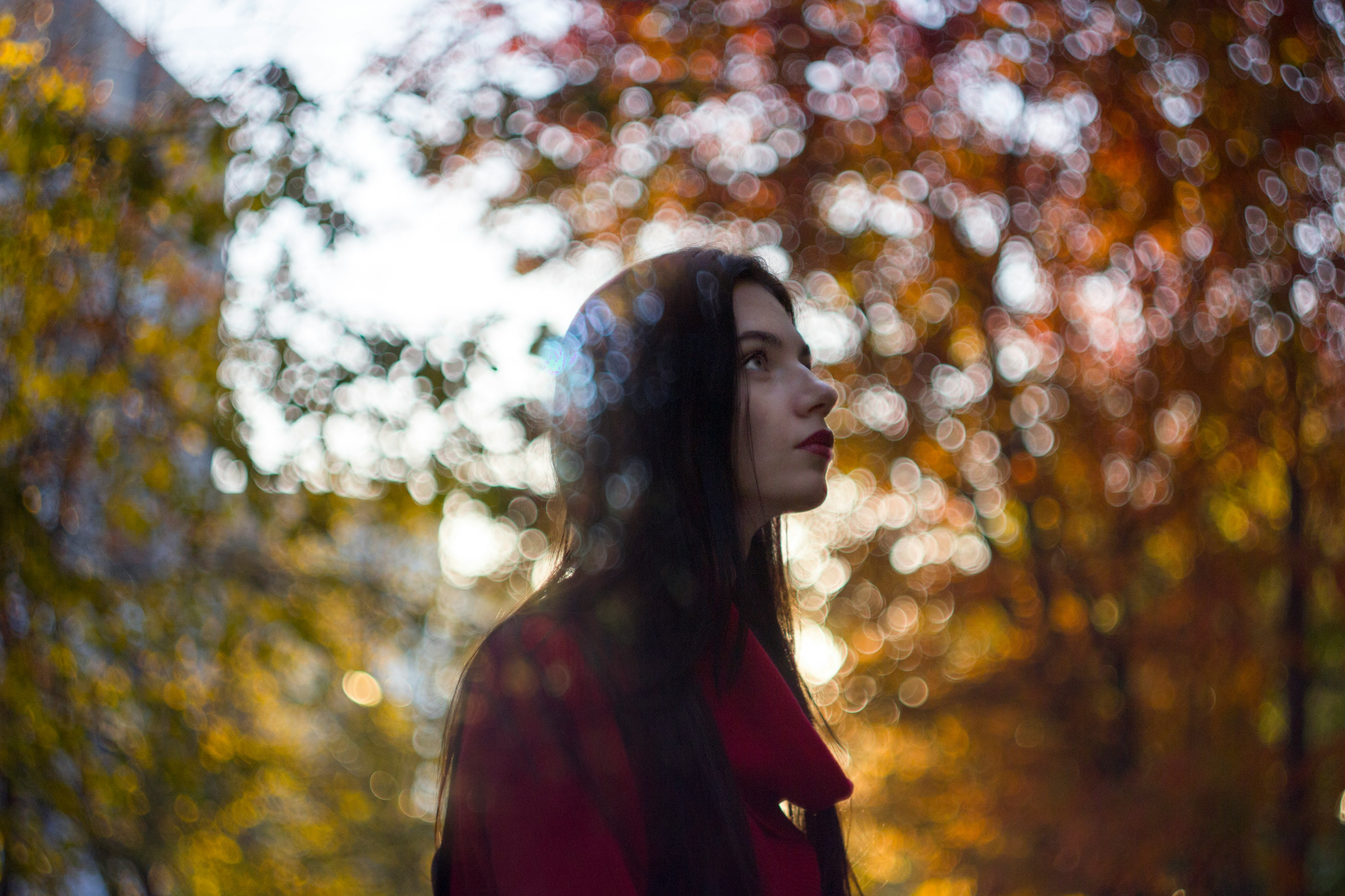 Persian tilework detail