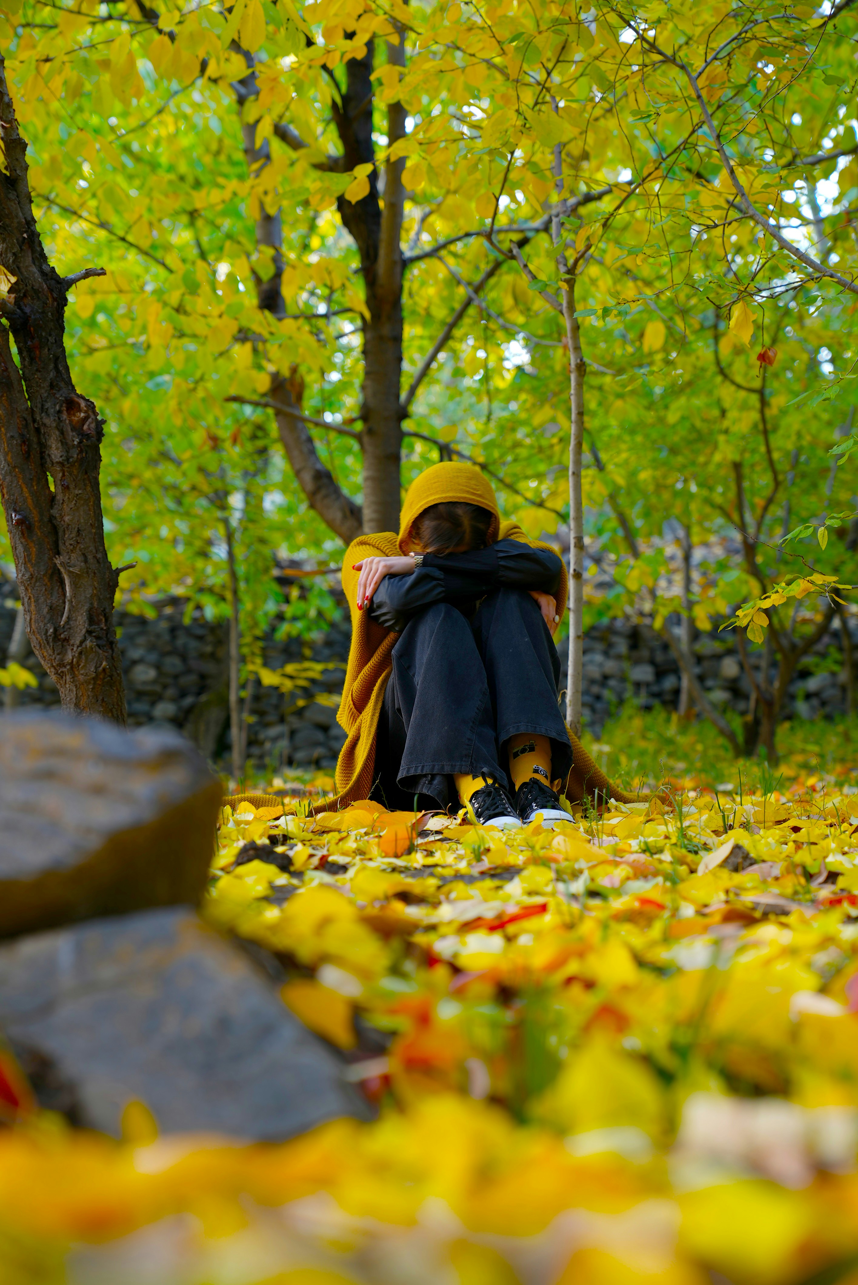 Persian tilework detail