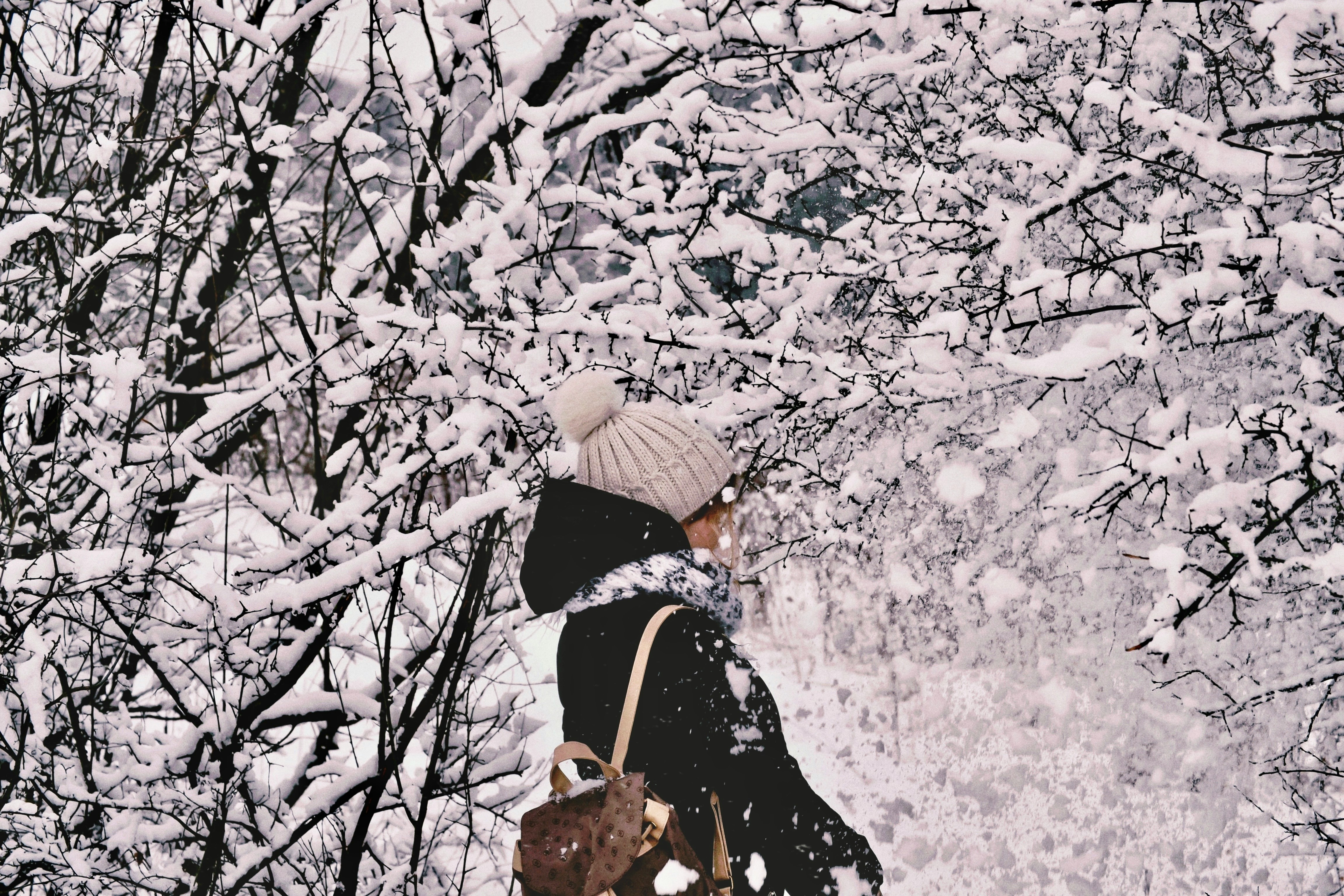 Persian tilework detail
